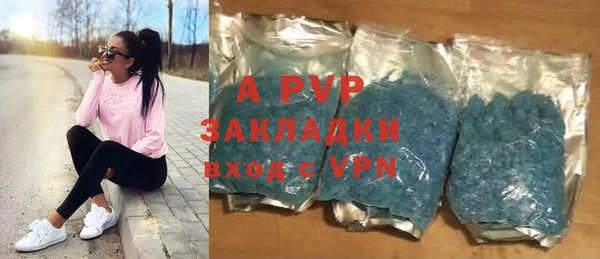 мдпв Богданович