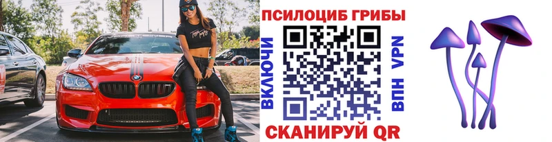 ОМГ ОМГ ссылки  Пионерский  Галлюциногенные грибы мицелий  где найти  